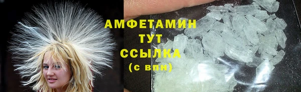 гашик Алексеевка