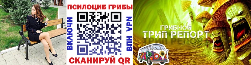 Галлюциногенные грибы Psilocybe  Яхрома 